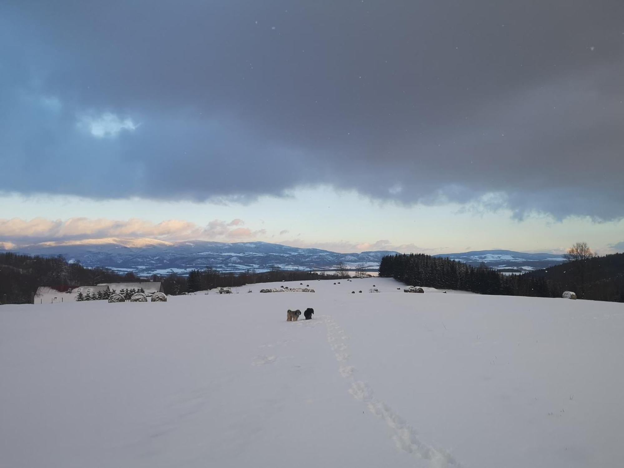Gnievo Farm stay