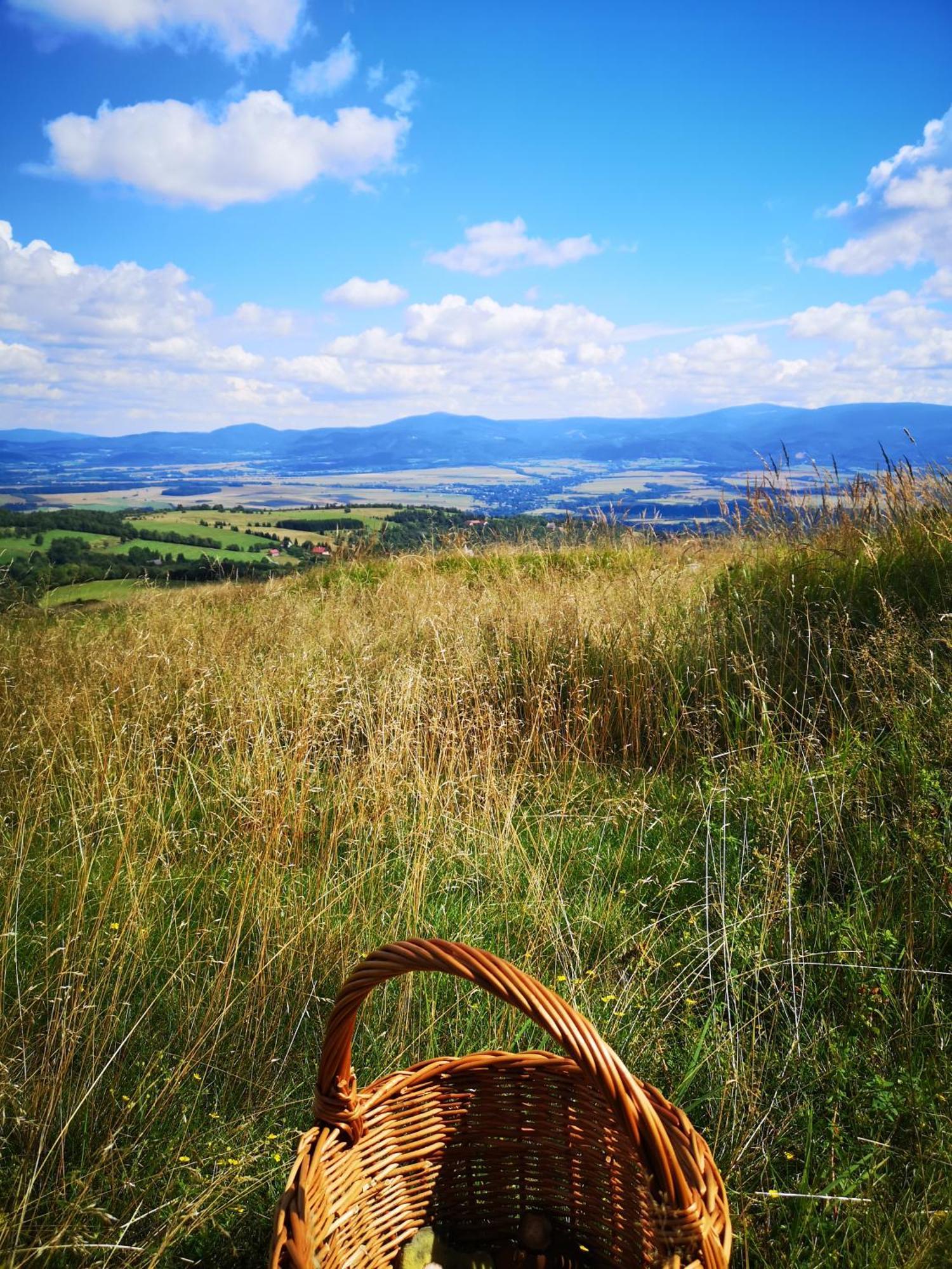 Farm stay Gnievo *