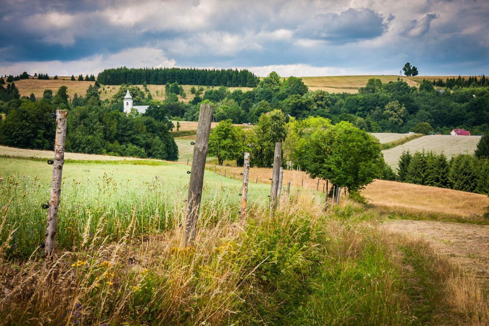 Gnievo Farm stay Miedzylesie (Silesia)